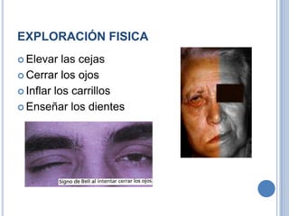 EXPLORACIÓN FISICA
 Elevar   las cejas
 Cerrar los ojos

 Inflar los carrillos

 Enseñar los dientes
 