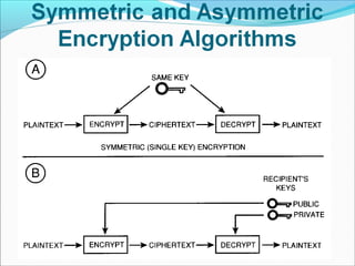 des algorithm | pptx Images High Quality Grahic DES | PPT