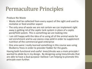 Permaculture Principles
Produce No Waste
• Waste shall be collected from every aspect of the sight and used to
revitalize or feed another aspect
• The only area of waste we are not certain we can implement right
away is getting rid of the septic tank system in place of a septic
pond/field system. This is something we are looking into
• I am still happy with the idea of re using all of the animal waste for
soil enrichment and to use excess crop yield in order to supplement
nutrition of the commercial goat enterprise
• One area were I really learned something in this course was using
Mulberry Trees in order to provider fodder for the goats.
Having both functional and useful trees/shrubs was a main principle I
wanted to abide by in my design. By designing using trees/shrubs that
are able to have a dual purpose I believe I am helping to promote this
principle even further.
 