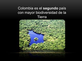 Colombia es el segundo país
con mayor biodiversidad de la
           Tierra
 