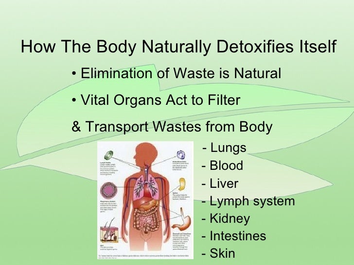 How To Remove Water From Lungs Naturally How To Remove Water From Lungs Naturally