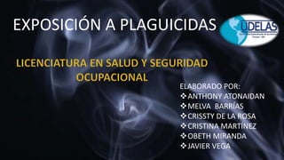 ELABORADO POR:
ANTHONY ATONAIDAN
MELVA BARRÍAS
CRISSTY DE LA ROSA
CRISTINA MARTÍNEZ
OBETH MIRANDA
JAVIER VEGA
EXPOSICIÓN A PLAGUICIDAS
 