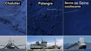 Palangre
Chalutier Senne
coulissante
 
