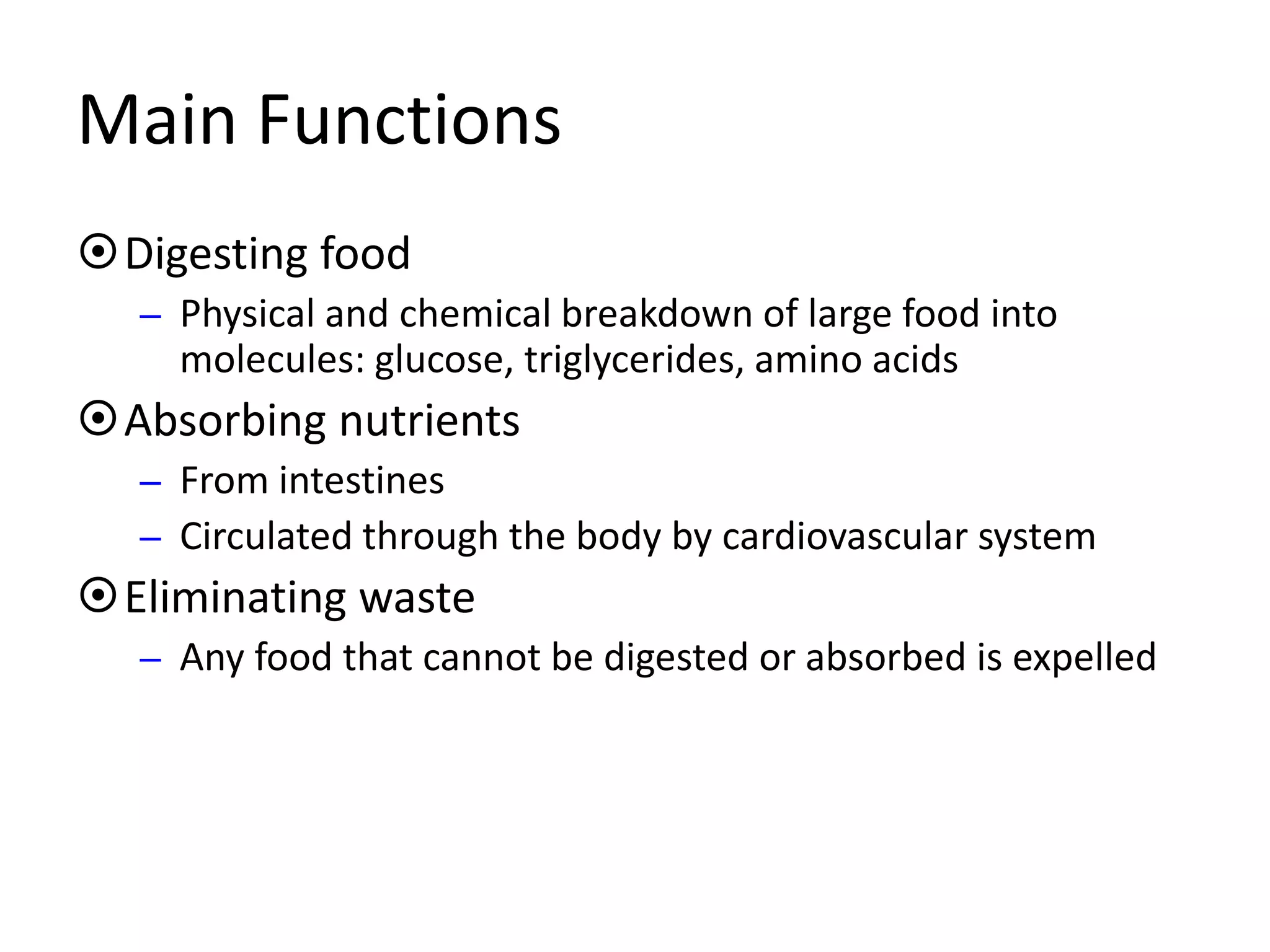 Main Functions
Digesting food
– Physical and chemical breakdown of large food into
molecules: glucose, triglycerides, amino acids
Absorbing nutrients
– From intestines
– Circulated through the body by cardiovascular system
Eliminating waste
– Any food that cannot be digested or absorbed is expelled
 