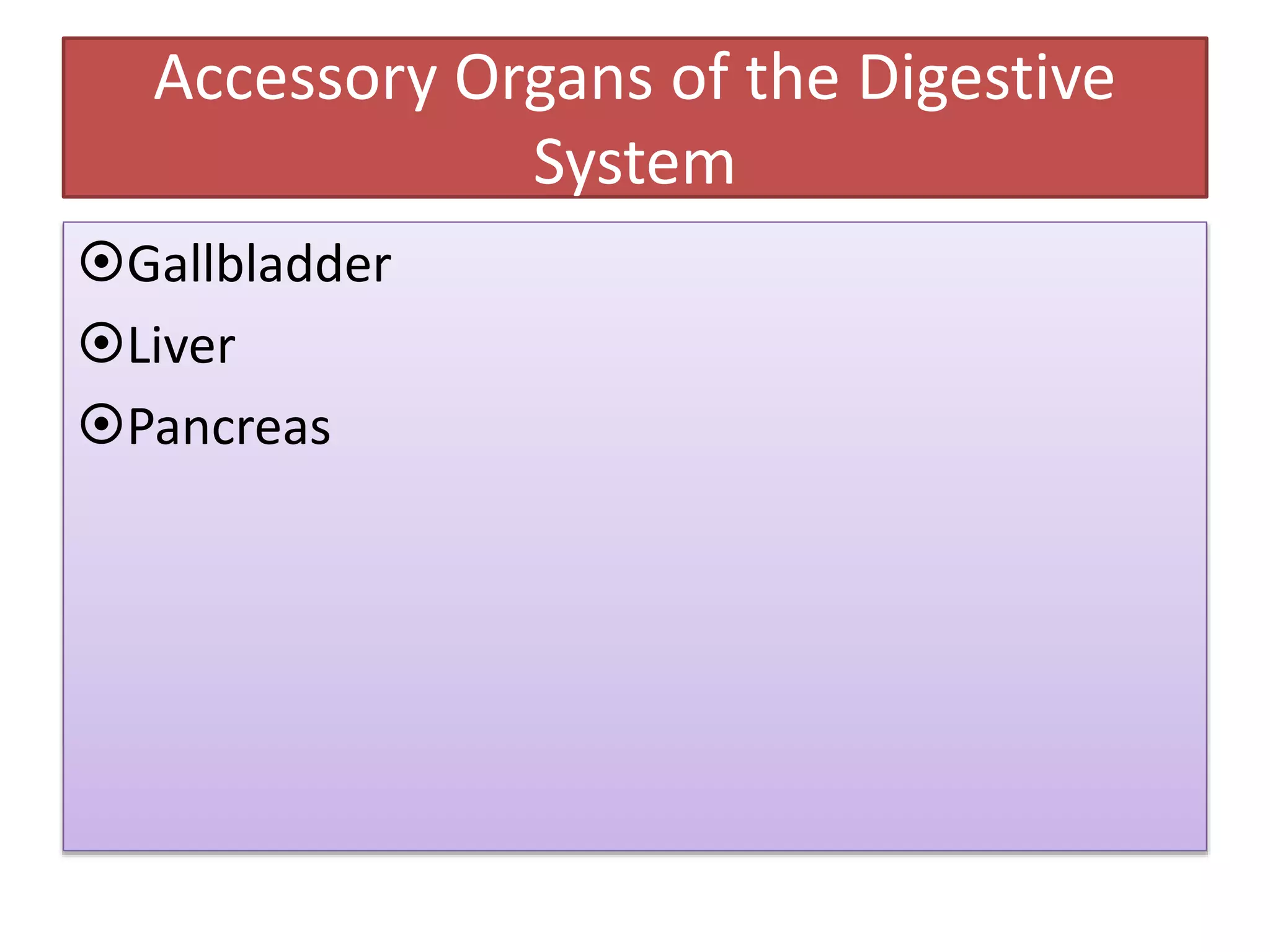 Accessory Organs of the Digestive
System
Gallbladder
Liver
Pancreas
 