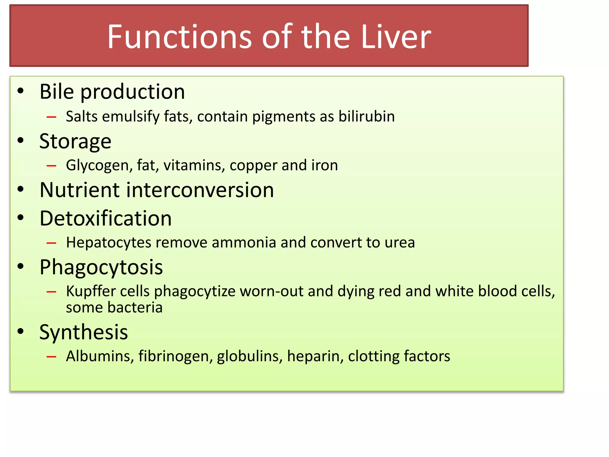 Functions of the Liver
• Bile production
– Salts emulsify fats, contain pigments as bilirubin
• Storage
– Glycogen, fat, vitamins, copper and iron
• Nutrient interconversion
• Detoxification
– Hepatocytes remove ammonia and convert to urea
• Phagocytosis
– Kupffer cells phagocytize worn-out and dying red and white blood cells,
some bacteria
• Synthesis
– Albumins, fibrinogen, globulins, heparin, clotting factors
 