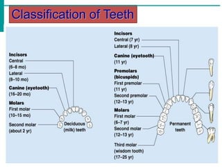 digestive system and disorders | PPTX