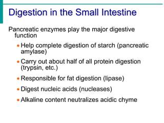 digestive system and disorders | PPT