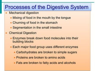 Food Breakdown Process digestive system and disorders | PPTX