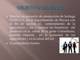 



Diseñar un proyecto de producción de lechuga
SATIVA L. en el departamento de Boyacá con
el fin de apoyar el
sostenimiento de la
agricultura y dar a conocer los beneficios del
producto en la salud de la gente Colombiana,
creando impacto
en la economía de los
agricultores y en la salud del los
Consumidores finales.

 