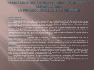 

















Proceso Productivo

Preparación del Terreno
Arada: La primera labor de arada se debe realizar con una anticipación de 30- 40 días del trasplante, a una
profundidad de 30 cm, con el propósito de roturar el suelo, airearlo y exponerlo a la acción de los agentes
meteorológicos y controladores naturales, a fin de que estos eliminen a adultos, huevos y larvas de insectos
plaga, como agentes patógenos que se encuentran en el campo.
Rastrada y Nivelada: La finalidad de esta labor es mullir el suelo. Por lo menos se deben realizar dos pasadas con
la rastra, en la primera pasada se deberán incorporar los abonos orgánicos, mientras que en la segunda se
complementa la labor de desmenuzamiento del suelo y se nivela el campo.
Surcado: Es la tarea final que corresponde a la preparación del suelo y responde al sistema de riego a utilizarse.
Esta labor se hará con dos a tres días de anticipación al trasplante.
Siembra y mantenimiento del cultivo
Preparación del terreno: En primer lugar se procederá a la nivelación del terreno, especialmente en el caso de
zonas encharcadizas, seguidamente se procederá al surcado.
Trasplante: El trasplante se realiza cuando las plántulas tienen de 3 a 5 hojas, y aproximadamente de 10 a 12 cm de
altura. Se recomienda seleccionar plántulas uniformes, vigorosas y sanas a fin de garantizar la homogeneidad de la
plantación
Plantación: La plantación se realiza en caballones o en banquetas a una altura de 25 cm. para que las plantas no
estén en contacto con la humedad, además de evitar los ataques producidos por hongos.
Deshierbo: Cuando se prepara bien los suelos, las deshierbas son mínimas y esporádicas, sin embargo de ello, el
cultivo de hortalizas en general requiere de labores de deshierba en sus primeros estados a nivel de campo para
evitar la competencia de luz, agua y nutrientes por parte de las malezas, posteriormente la densidad del cultivo
cubre el campo permitiendo reprimir de manera natural a estas.
Riego: El número de riegos dependerá de las circunstancias meteorológicas y la capacidad del terreno para retener
la humedad, pero pueden cifrarse aproximadamente de 8 a 12 riegos según la época de cultivo.
Control Fitosanitario: se define como los métodos y técnicas para la prevención, control y eliminación o curación de
las enfermedades de las plantas, procurando la estabilidad y bienestar del cultivo.

 