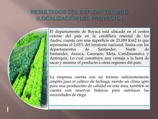 El departamento de Boyacá está ubicado en el centro
oriente del país en la cordillera oriental de los
Andes, cuenta con una superficie de 23,189 Km2 lo que
representa el 2.03% del territorio nacional, limita con los
departamentos
de
Santander,
Norte
de
Santander, Arauca, Casanare, Meta, Cundinamarca y
Antioquia. Lo cual constituye una ventaja a la hora de
sacar y mostrar el producto a otras regiones del país.
La empresa cuenta con un terreno suficientemente
amplio para el cultivo de lechuga, siendo un clima apto
para una producción de calidad en esta área, también se
cuenta con reservas hídricas para satisfacer las
necesidades de riego.

 
