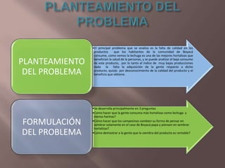 PLANTEAMIENTO
DEL PROBLEMA

FORMULACIÓN
DEL PROBLEMA

•El principal problema que se analiza es la falta de calidad en los
productos
que los habitantes de la comunidad de Boyacá
consume, como vemos la lechuga es una de las mejores hortalizas que
benefician la salud de la personas, y se puede analizar el bajo consumo
de este producto, por lo tanto el índice de muy bajas producciones
dada la falta la adquisición de la gente respecto a dicho
producto, quizás por desconocimiento de la calidad del producto y el
beneficio que obtiene.

•Se desarrolla principalmente en 3 preguntas
•Como hacer que la gente consuma más hortalizas como lechuga y
menos harinas?
•Cómo hacer que los campesinos cambien su forma de pensar en
sembrar solamente en el caso de Boyacá papa y piensen en sembrar
hortalizas?
•Como demostrar a la gente que la siembra del producto es rentable?

 