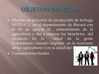 



Diseñar un proyecto de producción de lechuga
SATIVA L. en el departamento de Boyacá con
el fin de apoyar el
sostenimiento de la
agricultura y dar a conocer los beneficios del
producto en la
salud de la gente
Colombiana, creando impacto en la economía
de los agricultores y en la salud del los
Consumidores finales.

 