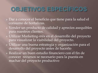 









Dar a conocer el beneficio que tiene para la salud el
consumo de hortalizas.
Vender un producto de calidad y aprecios asequibles
para nuestros clientes.
Utilizar Marketing-mix en el desarrollo del proyecto
para visualizar la viabilidad del proyecto.
Utilizar una buena estrategia y organización para el
desarrollo del proyecto antes de hacerlo
Realizar un buen estudio financiero con el fin de
conocer recursos se necesario para la puesta en
machar del proyecto productivo

 
