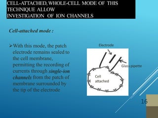 CELL-ATTACHED,WHOLE-CELL MODE OF THIS
TECHNIQUE ALLOW
INVESTIGATION OF ION CHANNELS
16
Cell-attached mode :
With this mode, the patch
electrode remains sealed to
the cell membrane,
permitting the recording of
currents through single-ion
channels from the patch of
membrane surrounded by
the tip of the electrode
Glass pipette
Cell
attached
Electrode
 