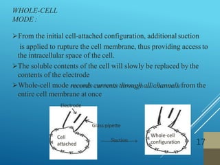 WHOLE-CELL
MODE :
17
From the initial cell-attached configuration, additional suction
is applied to rupture the cell membrane, thus providing access to
the intracellular space of the cell.
The soluble contents of the cell will slowly be replaced by the
contents of the electrode
Whole-cell mode records currents through all channels from the
entire cell membrane at once
Electrode
Glass pipette
Cell
attached
Whole-cell
configurationSuction
 