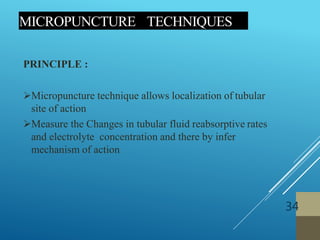 MICROPUNCTURE TECHNIQUES
34
PRINCIPLE :
Micropuncture technique allows localization of tubular
site of action
Measure the Changes in tubular fluid reabsorptive rates
and electrolyte concentration and there by infer
mechanism of action
 