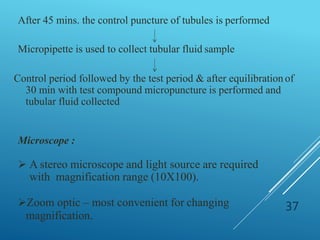 After 45 mins. the control puncture of tubules is performed
Micropipette is used to collect tubular fluid sample
Control period followed by the test period & after equilibration of
30 min with test compound micropuncture is performed and
tubular fluid collected
Microscope :
 A stereo microscope and light source are required
with magnification range (10X100).
Zoom optic – most convenient for changing
magnification.
37
 