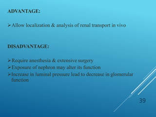 ADVANTAGE:
Allow localization & analysis of renal transport in vivo
DISADVANTAGE:
Require anesthesia & extensive surgery
Exposure of nephron may alter its function
Increase in luminal pressure lead to decrease in glomerular
function
39
 