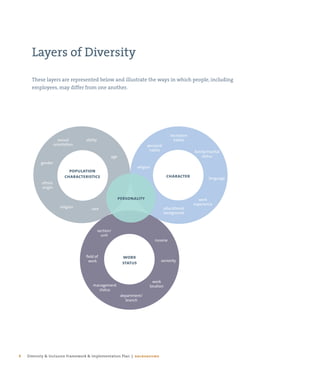 Diversity and Inclusion Framework and Implementation Plan | PDF