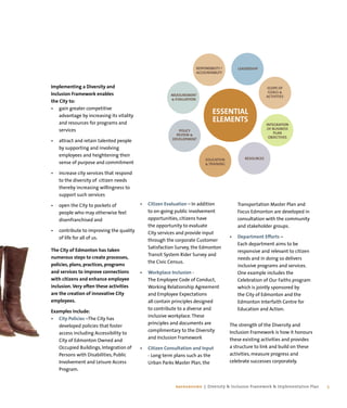Diversity and Inclusion Framework and Implementation Plan | PDF