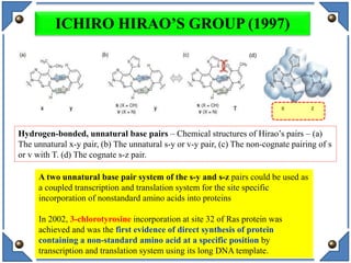 Hydrogen-bonded, unnatural base pairs – Chemical structures of Hirao’s pairs – (a)
The unnatural x-y pair, (b) The unnatural s-y or v-y pair, (c) The non-cognate pairing of s
or v with T. (d) The cognate s-z pair.
(d)
ICHIRO HIRAO’S GROUP (1997)
15
A two unnatural base pair system of the s-y and s-z pairs could be used as
a coupled transcription and translation system for the site specific
incorporation of nonstandard amino acids into proteins
In 2002, 3-chlorotyrosine incorporation at site 32 of Ras protein was
achieved and was the first evidence of direct synthesis of protein
containing a non-standard amino acid at a specific position by
transcription and translation system using its long DNA template.
 