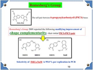 Selectivity of 5SICs-NaM is 99.8 % per replication in PCR
19
Romesberg’s Group
The self pair between 6-propynylcarbostyril (PICS) bases
Romesberg’s Group 2009 reported the following modifying improvement of
(shape complementarity) their initial PICS-PICS pair
 