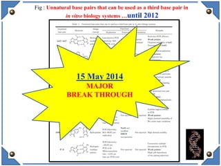 Fig : Unnatural base pairs that can be used as a third base pair in
in vitro biology systems …until 2012
15 May 2014
MAJOR
BREAK THROUGH
 