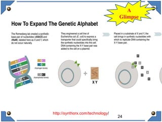 24
A
Glimpse
http://synthorx.com/technology/
 
