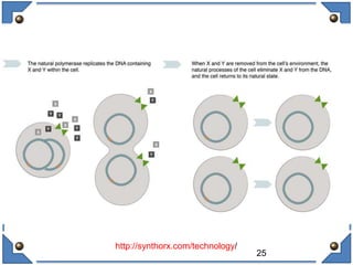 25
http://synthorx.com/technology/
 