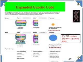 27
Expanded Genetic Code
63 = 216 codons.
216-44=172 amino
acids
 