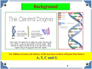 Background
For billions of years, the history of life has been written with just four letters-
A, T, C and G
4
 