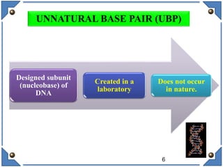 UNNATURAL BASE PAIR (UBP)
Designed subunit
(nucleobase) of
DNA
Created in a
laboratory
Does not occur
in nature.
6
 
