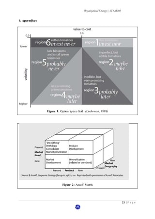 Organizational Strategy | STRM002
23 | P a g e
6. Appendices
Figure 1: Option Space Grid (Luehrman, 1998)
Figure 2: Ansoff Matrix
 