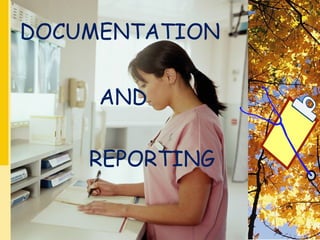 DOCUMENTATION
AND
REPORTING
 