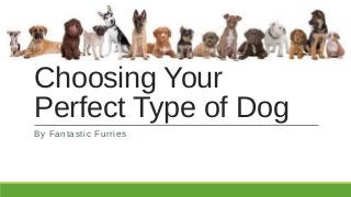 Choosing Your
Perfect Type of Dog
By Fantastic Furries
 