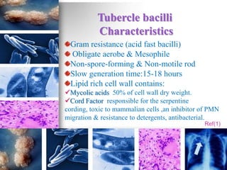 Tubercle bacilli
           Characteristics
 Gram resistance (acid fast bacilli)
 Obligate aerobe & Mesophile
 Non-spore-forming & Non-motile rod
 Slow generation time:15-18 hours
 Lipid rich cell wall contains:
Mycolic acids 50% of cell wall dry weight.
Cord Factor responsible for the serpentine
cording, toxic to mammalian cells ,an inhibitor of PMN
migration & resistance to detergents, antibacterial.
                                                Ref(1)
 