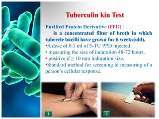 Tuberculin kin Test
Purified Protein Derivative (PPD) :
    is a concentrated filter of broth in which
tubercle bacilli have grown for 6 weeks(old).
•A dose of 0.1 ml of 5-TU PPD injected.
• measuring the size of induration 48-72 hours.
• positive if ≥ 10 mm induration size.
•Standard method for screening & measuring of a
person’s cellular response.




1                         2
 