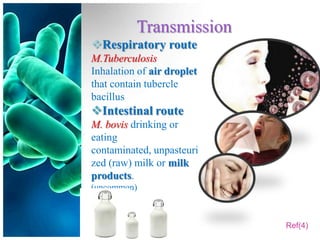 Transmission
Respiratory route
M.Tuberculosis
Inhalation of air droplet
that contain tubercle
bacillus
Intestinal route
M. bovis drinking or
eating
contaminated, unpasteuri
zed (raw) milk or milk
products.
(uncommon)



                            Ref(4)
 