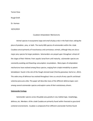 Tanner Knox
Rough Draft
Dr. Harmon
10/31/2019
Caudatan Antipredator Mechanisms
Animal species in ecosystems large and small all play a role in the food chain, taking the
place of predator, prey, or both. The nearly 600 species of salamanders within the clade
Caudata consist primarily of insectivorous and carnivorous animals, although they are also a
major prey species for larger predators. Salamanders are preyed upon throughout almost all
the stages of their lifetime. From aquatic larval form until maturity, salamander species are
constantly avoiding and thwarting consumption via predators. Many types of antipredator
mechanisms have evolved among these species, ranging from simple immobility to potent
tetrodotoxin found in the skin of the Rough-skinned newt (Taricha granulosa; Gall et al., 2011).
This wide array of defenses has evolved throughout time as a result of very specific and broad
selective pressures alike. This paper will describe many of the different defense types seen
among several salamander species and explain some of their evolutionary drivers.
Salamander Ecology
Salamander species across the globe vary greatly in size, habitat type, morphology,
defense, etc. Members of the clade Caudata are primarily found within forested or grassland
centered environments. Caudata is composed of ten different salamander families found
 