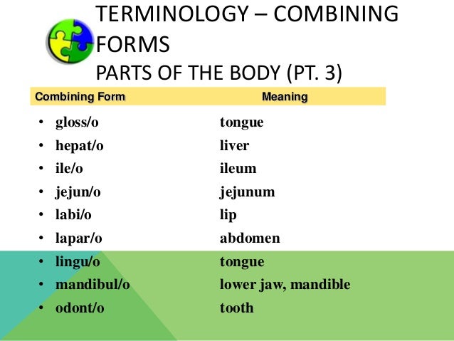 The Digestive System