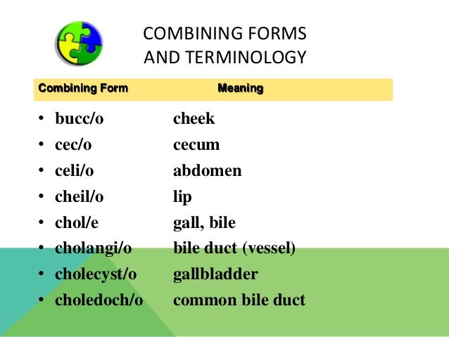 the digestive system combining form meaning rectum