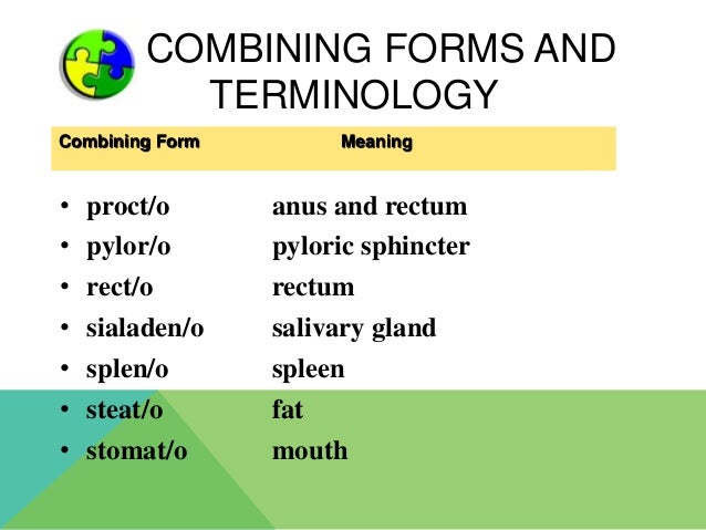 the digestive system combining form meaning rectum