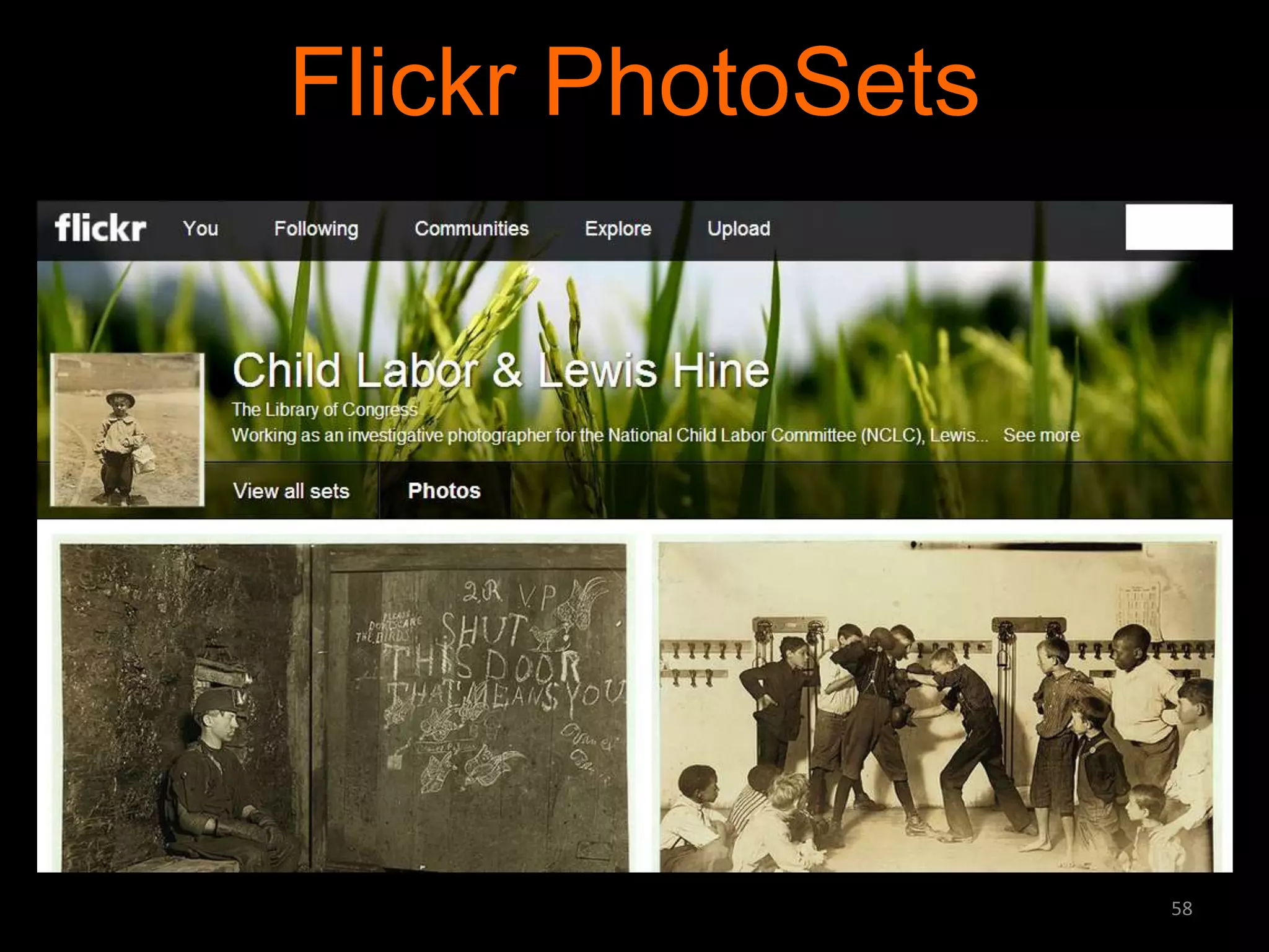 Flickr PhotoSets

58

 