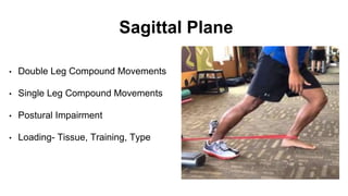 Sagittal Plane
• Double Leg Compound Movements
• Single Leg Compound Movements
• Postural Impairment
• Loading- Tissue, Training, Type
 