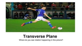 Transverse Plane
Where do you see rotation happening in this picture?
 