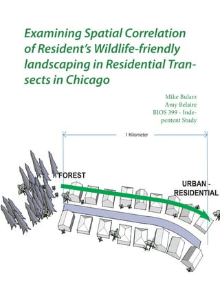 Examining Spatial Correlation
of Resident’s Wildlife-friendly
landscaping in Residential Tran-
sects in Chicago
                           Mike Bularz
                          Amy Belaire
                       BIOS 399 - Inde-
                         pentent Study
 