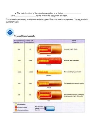 • The main function of the circulatory system is to deliver.....................................
and..............................................to the rest of the body from the heart.
To the heart / pulmonary artery / nutrients / oxygen / from the heart / oxygenated / deoxygenated /
pulmonary vein
Types of blood vessels
 