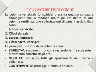 LE CURVATURE FISIOLOGICHE
La colonna vertebrale (o rachide) presenta quattro curvature
fisiologiche che la rendono molto più resistente, di una
colonna rettilinea, alle sollecitazioni di carichi assiali. Esse
sono:
1. Lordosi cervicale;
2. Cifosi dorsale;
3. Lordosi lombare;
4. Cifosi sacro-coccigea;
Le principali funzioni della colonna sono:
• STABILITA’: sostiene il tronco, e restando ferma consente il
movimento corretto degli arti.
• MOBILITA’: consente tutti gli spostamenti del tronco e
della testa.
• CONTENIMENTO: protegge il midollo spinale.
 